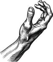 AI generated hand gesture in old engraving style for drawing reference vector