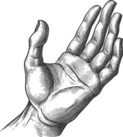 AI generated hand gesture in old engraving style for drawing reference vector