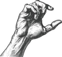 AI generated hand gesture in old engraving style for drawing reference black color only vector