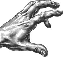 AI generated hand gesture in old engraving style for drawing reference black color only vector