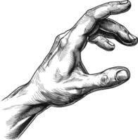 AI generated hand gesture in old engraving style for drawing reference black color only vector