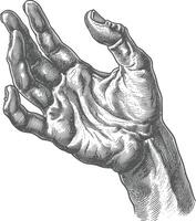 AI generated hand gesture in old engraving style for drawing reference black color only vector