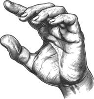 AI generated hand gesture in old engraving style for drawing reference black color only vector