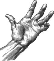 AI generated hand gesture in old engraving style for drawing reference black color only vector