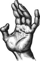 AI generated hand gesture in old engraving style for drawing reference black color only vector