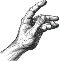 AI generated hand gesture in old engraving style for drawing reference black color only vector