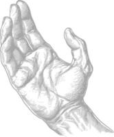 AI generated hand gesture in old engraving style for drawing reference black color only vector