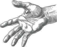 AI generated hand gesture in old engraving style for drawing reference black color only vector