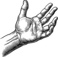 AI generated hand gesture in old engraving style for drawing reference black color only vector