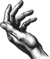 AI generated hand gesture in old engraving style for drawing reference black color only vector