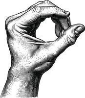 AI generated hand gesture in old engraving style for drawing reference black color only vector