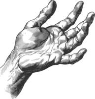 AI generated hand gesture in old engraving style for drawing reference black color only vector