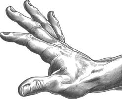 AI generated hand gesture in old engraving style for drawing reference black color only vector