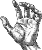 AI generated hand gesture in old engraving style for drawing reference black color only vector