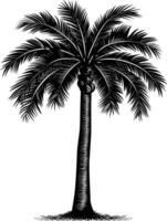 AI generated Silhouette palm dates black color only vector