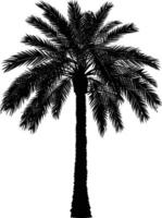 AI generated Silhouette palm dates black color only vector