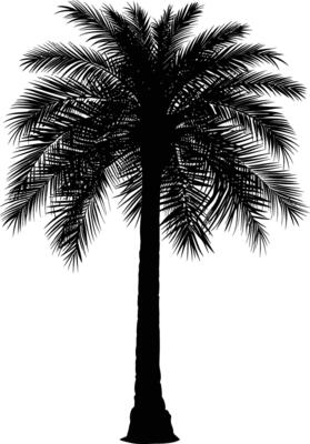 AI generated Silhouette palm dates black color only