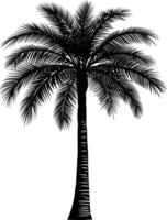 AI generated Silhouette palm dates black color only vector