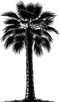 AI generated Silhouette palm dates black color only vector