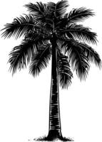 AI generated Silhouette palm dates black color only vector