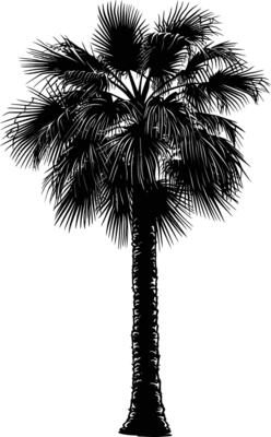 AI generated Silhouette palm dates black color only