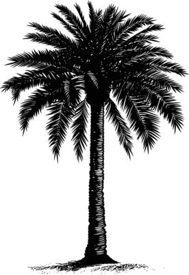 AI generated Silhouette palm dates black color only