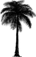 AI generated Silhouette palm dates black color only vector