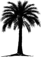 AI generated Silhouette palm dates black color only vector