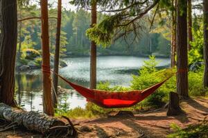 AI generated Getting Started with Camping Hammock professional photography photo