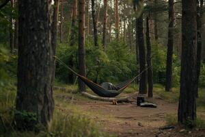 AI generated Getting Started with Camping Hammock professional photography photo