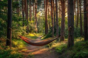 AI generated Getting Started with Camping Hammock professional photography photo