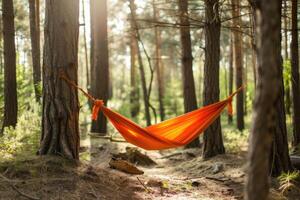 AI generated Getting Started with Camping Hammock professional photography photo