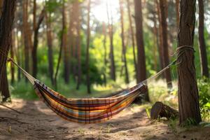 AI generated Getting Started with Camping Hammock professional photography photo