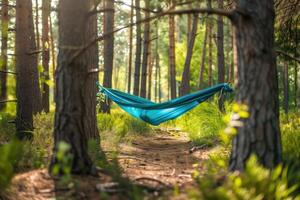 AI generated Getting Started with Camping Hammock professional photography photo