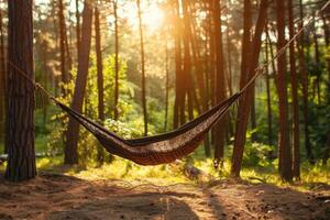 AI generated Getting Started with Camping Hammock professional photography photo