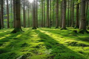 ai generado mundo bosque día saludos tarjeta profesional fotografía antecedentes foto