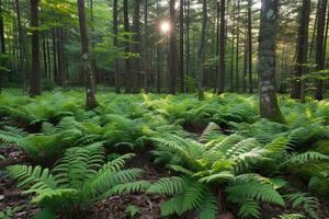 AI generated world forest day greetings card professional photography background photo