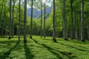 ai generado mundo bosque día saludos tarjeta profesional fotografía antecedentes foto