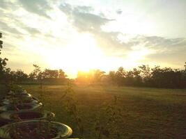 Golden Sunset Over the Village Field photo