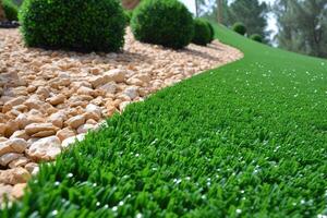 AI generated outdoor grass in backyard landscaping style inspiration ideas photo