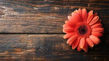 AI generated Gerbera daisy flower greeting card background for mother or womans day. Rustic style. photo