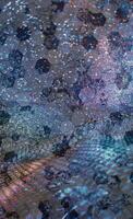 Abstract background pattern, presentation cover illustration, geometric texture with sparkles and fireworks close view photo