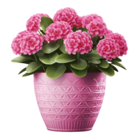 ai gerado 3d Renderização do uma lindo flores dentro uma Panela em transparente fundo - ai gerado png