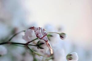 Boda anillos antecedentes. compromiso o matrimonio modelo foto