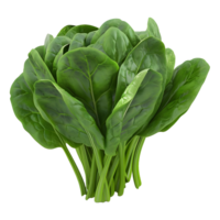 AI generated Spinach Leaves on Transparent background - Ai Generated png