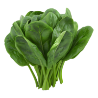 AI generated Spinach Leaves on Transparent background - Ai Generated png