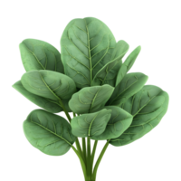 AI generated Spinach Leaves on Transparent background - Ai Generated png