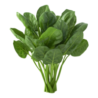 AI generated Spinach Leaves on Transparent background - Ai Generated png