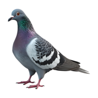 AI generated Pigeon on Transparent background - Ai Generated png