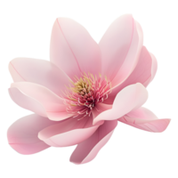 ai generado rosado magnolia flor en transparente antecedentes - ai generado png